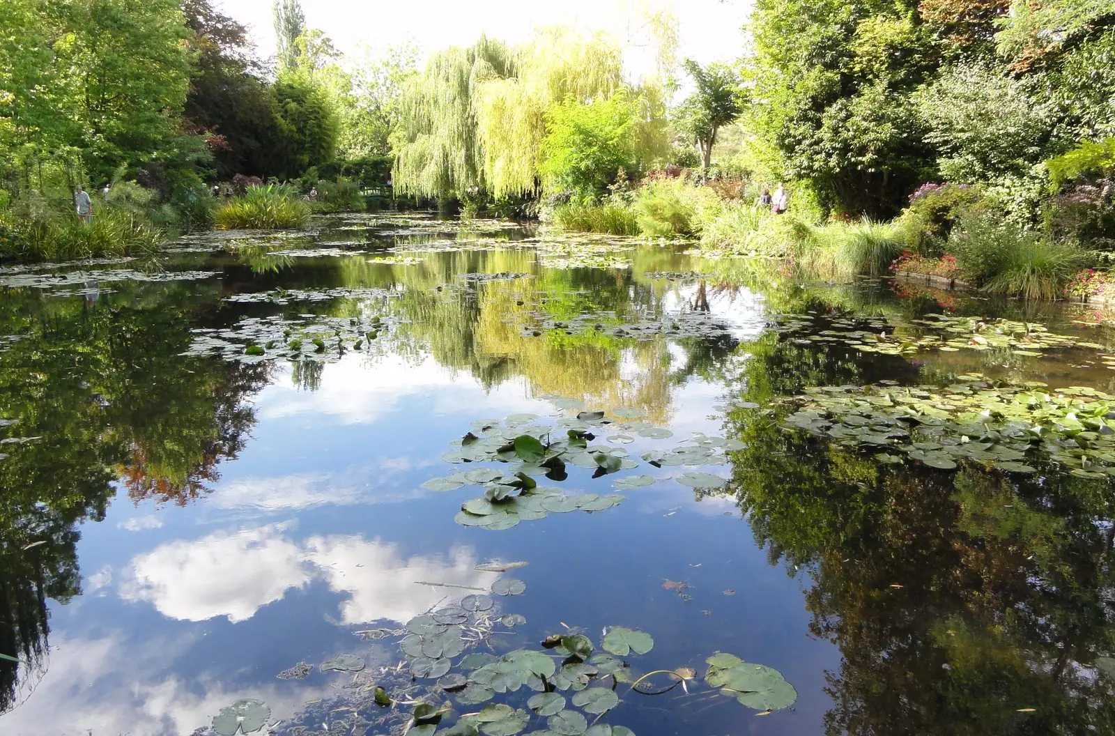 Le jardin de Claude Monet à Giverny en pleine floraison