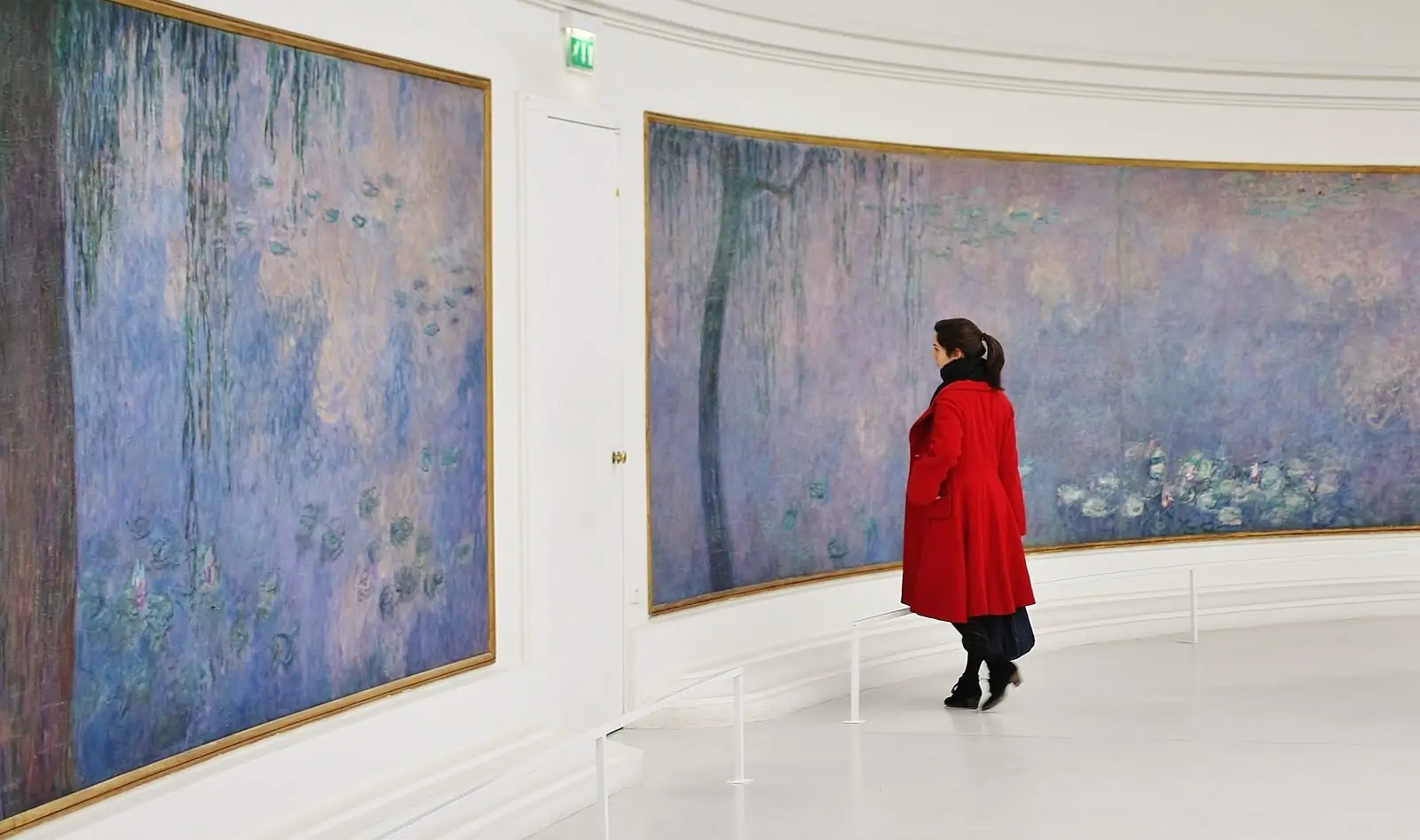 Les Nymphéas de Monet dans une salle ovale du musée de l'Orangerie
