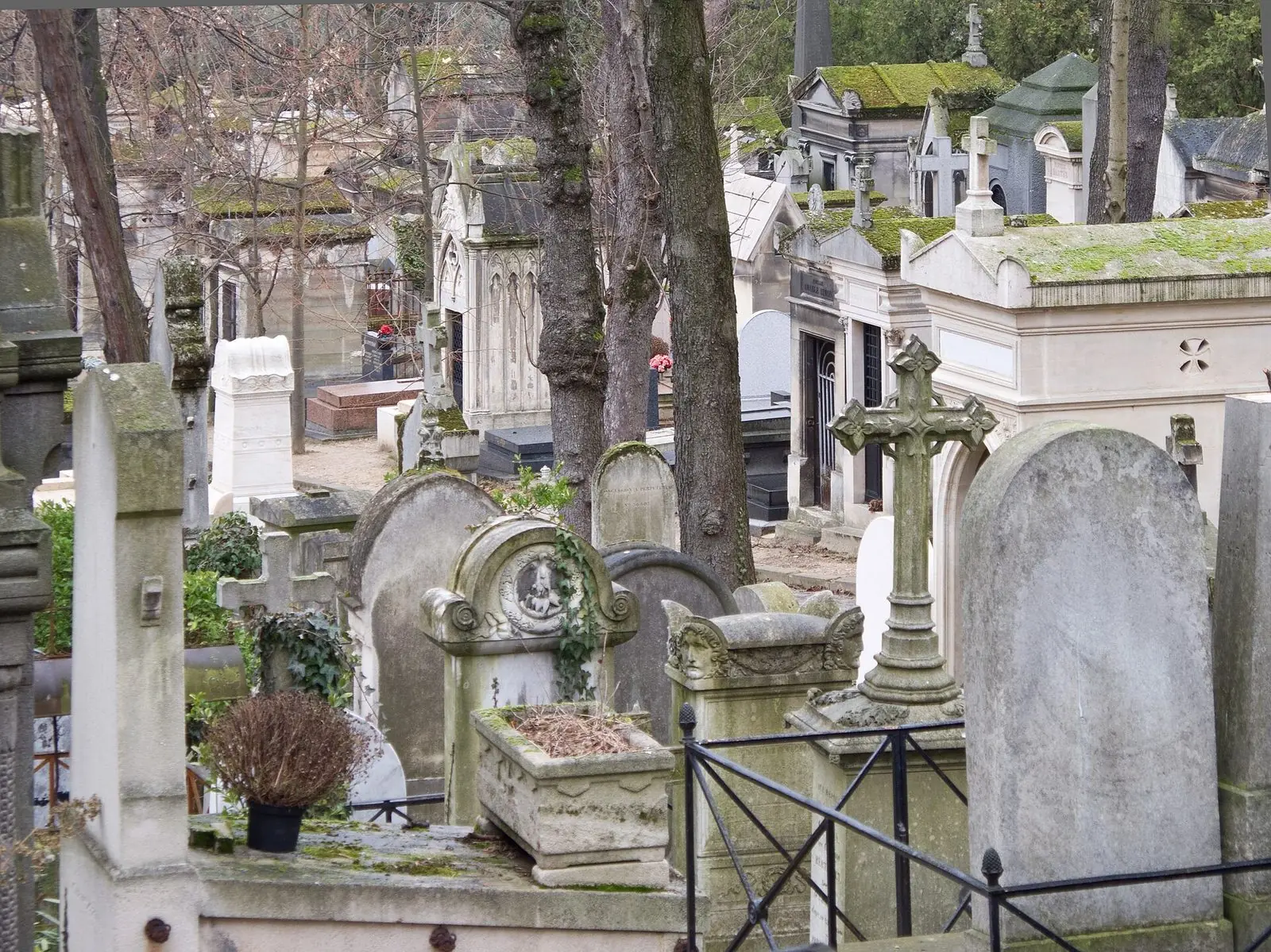 Allée pavée sous les grands arbres du Père-Lachaise
