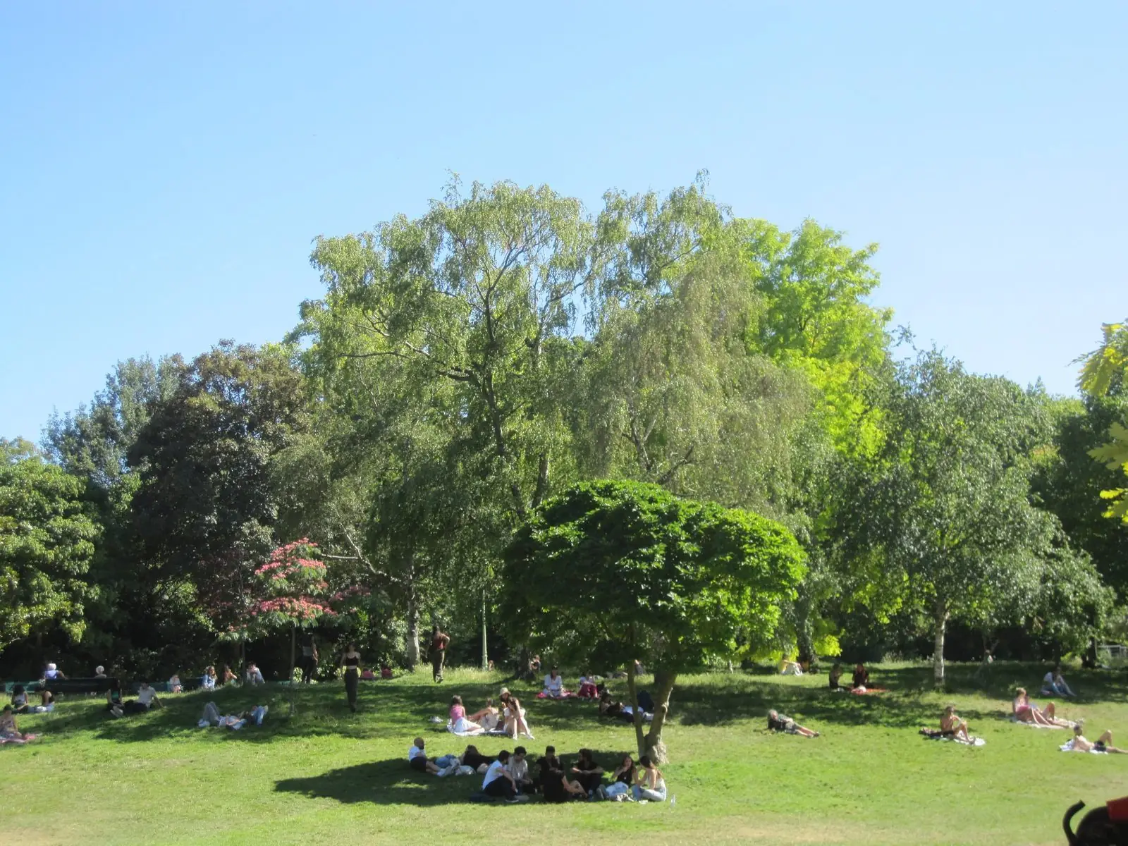 Les grilles dorées de l'entrée du parc Monceau